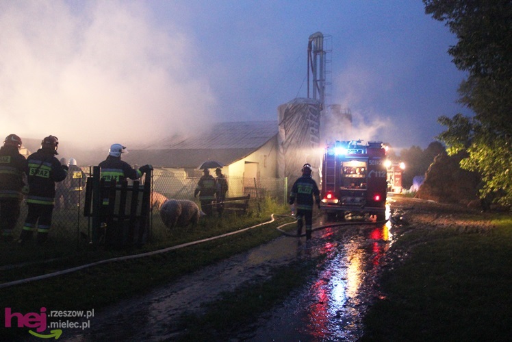 Burza w regionie: pożar chlewni w Wadowicach Górnych
