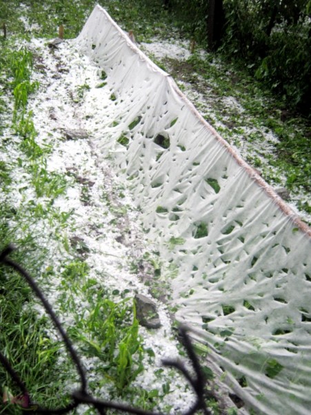 Burza w regionie: grad miał średnicę nawet 2 - 3 centymetrów