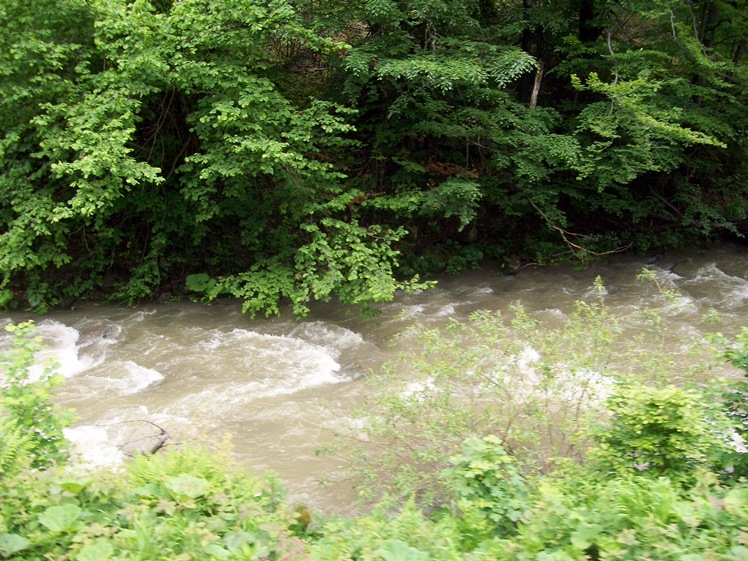 Seniorzy z Mielca pojechali w Bieszczady