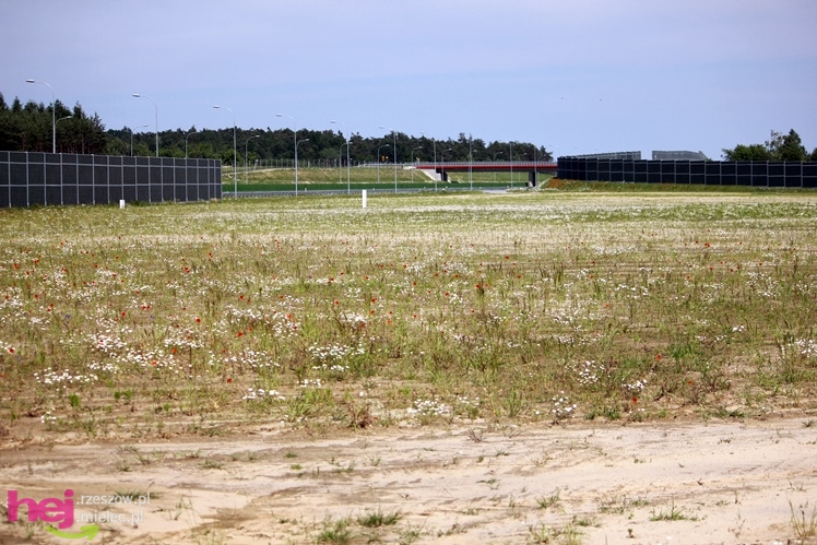 Niemal gotowy fragment autostrady A4 w okolicach Dębicy i Ropczyc