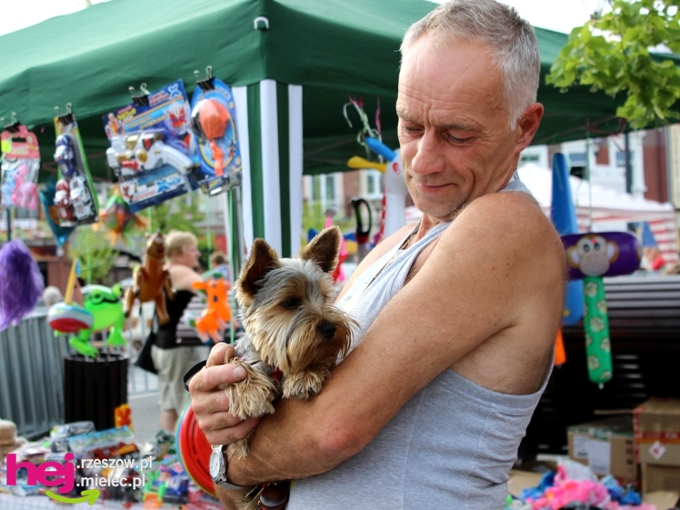 Sobotni piknik na mieleciej starówce - część 2