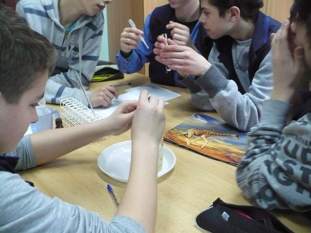 Puzzle Życia ? innowacja pedagogiczna w Woli Mieleckiej