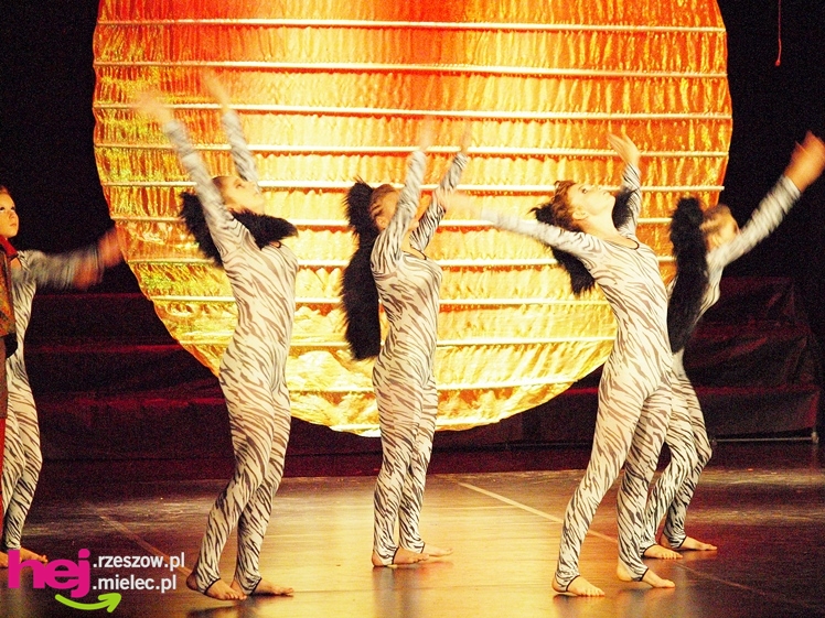 Certyfikaty dla Młodych Nieprzeciętnych zostały wręczone