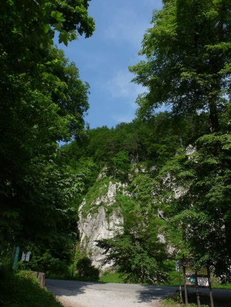Podopieczni Domu Samopomocy na ekologicznej wycieczce w Ojcowie