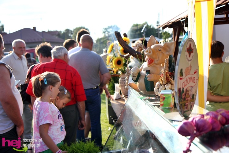 VII Podkarpacki Dzień Wędliniarza w Radomyślu Wielkim - część I