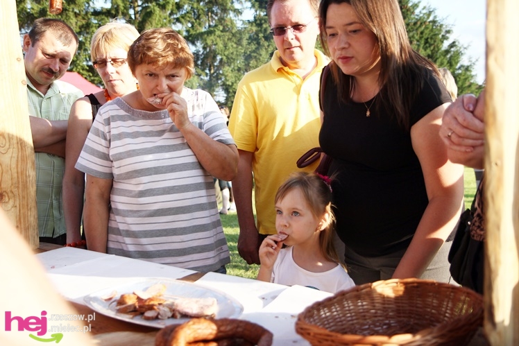 VII Podkarpacki Dzień Wędliniarza w Radomyślu Wielkim - część I