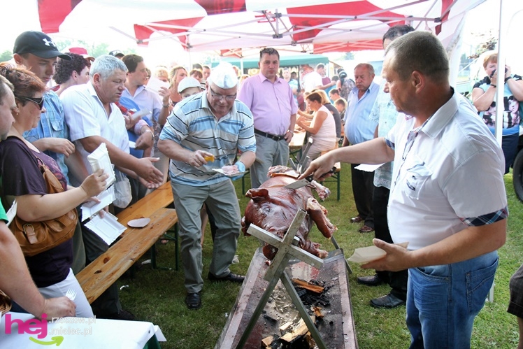 VII Podkarpacki Dzień Wędliniarza w Radomyślu Wielkim - część I