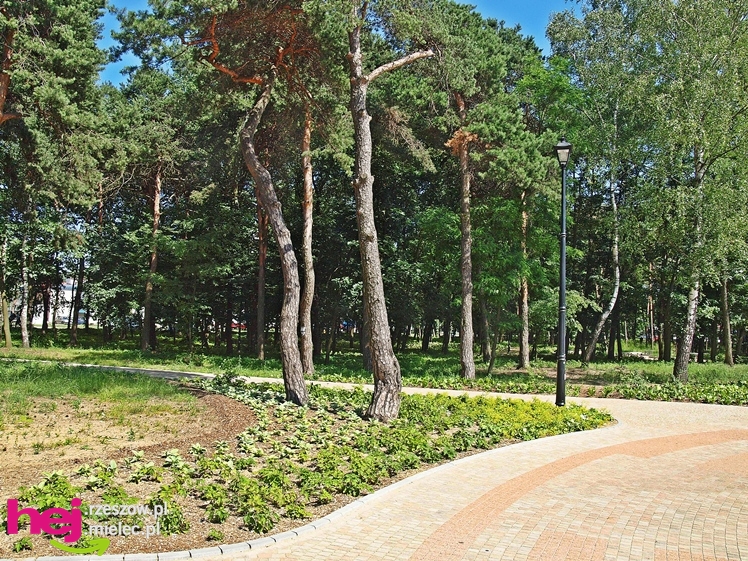 Nowy park przy Hali Targowej coraz chętniej odwiedzany przez mielczan