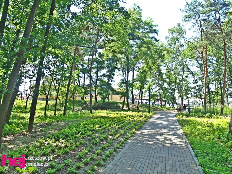 Nowy park przy Hali Targowej coraz chętniej odwiedzany przez mielczan