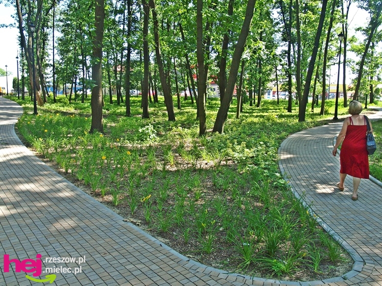Nowy park przy Hali Targowej coraz chętniej odwiedzany przez mielczan