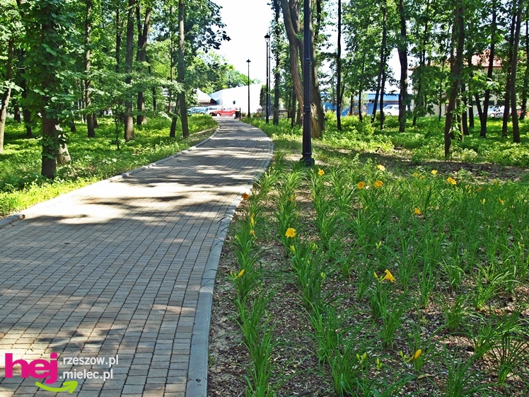 Nowy park przy Hali Targowej coraz chętniej odwiedzany przez mielczan