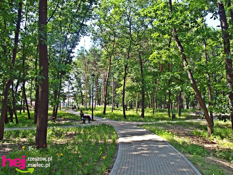 Nowy park przy Hali Targowej coraz chętniej odwiedzany przez mielczan