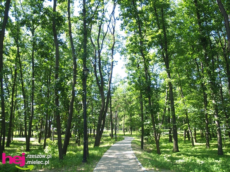 Nowy park przy Hali Targowej coraz chętniej odwiedzany przez mielczan