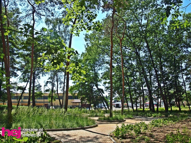 Nowy park przy Hali Targowej coraz chętniej odwiedzany przez mielczan
