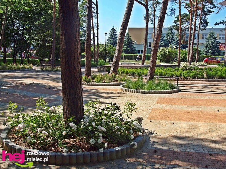 Nowy park przy Hali Targowej coraz chętniej odwiedzany przez mielczan