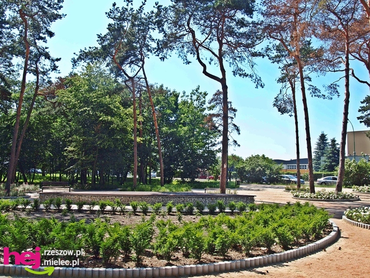 Nowy park przy Hali Targowej coraz chętniej odwiedzany przez mielczan