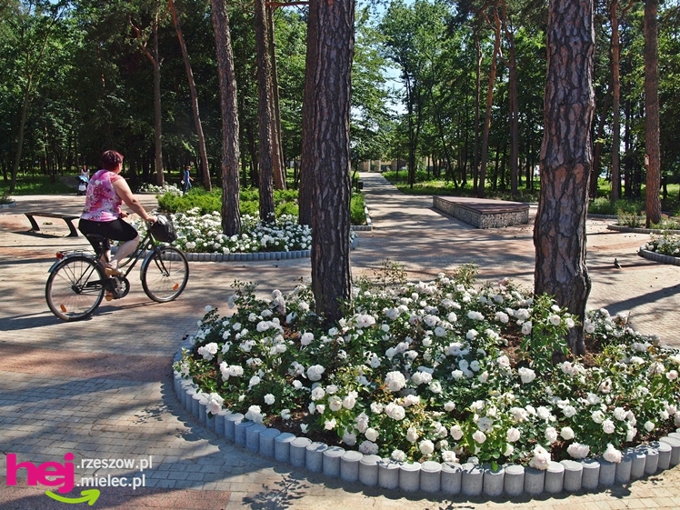 Nowy park przy Hali Targowej coraz chętniej odwiedzany przez mielczan