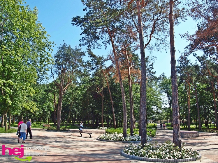 Nowy park przy Hali Targowej coraz chętniej odwiedzany przez mielczan