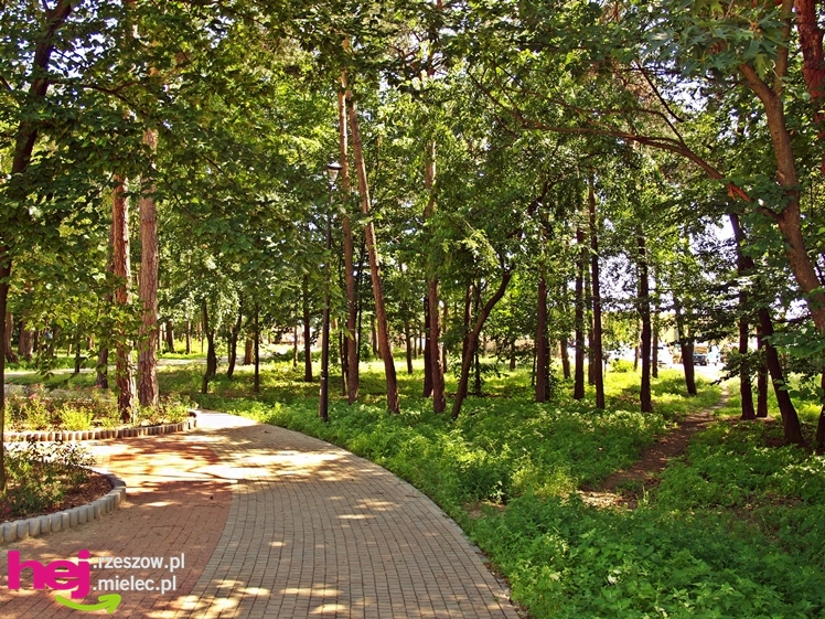 Nowy park przy Hali Targowej coraz chętniej odwiedzany przez mielczan