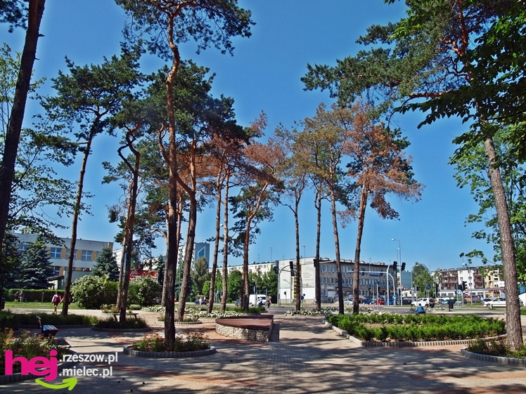Nowy park przy Hali Targowej coraz chętniej odwiedzany przez mielczan