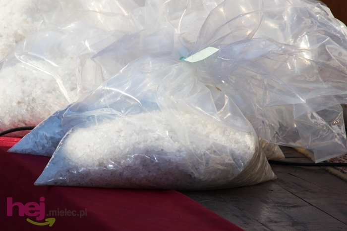 Uroczystą mszą św. rozpoczęła się XXXI PPT