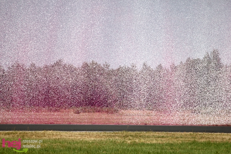 75-lecie przemysłu lotniczego w Mielcu. Piknik - część I