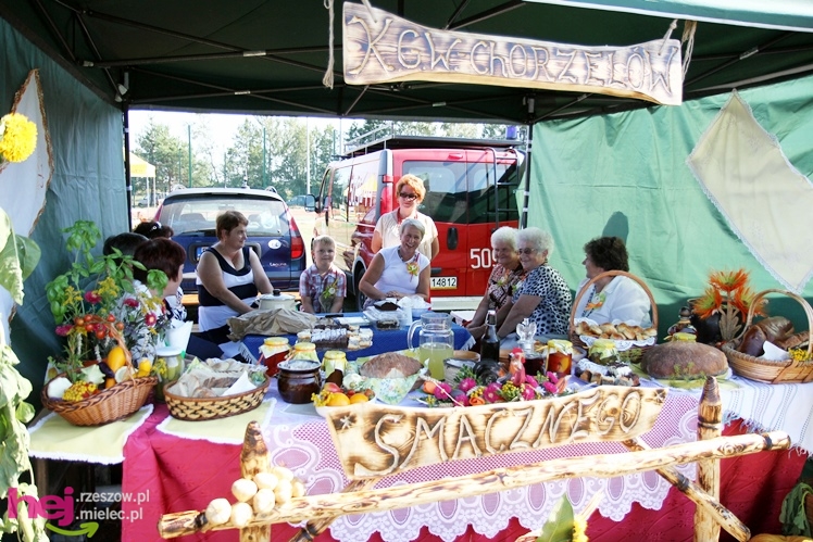 ?Dziękujemy dziś na plony? - dożynki gminy wiejskiej Mielec w Podleszanach