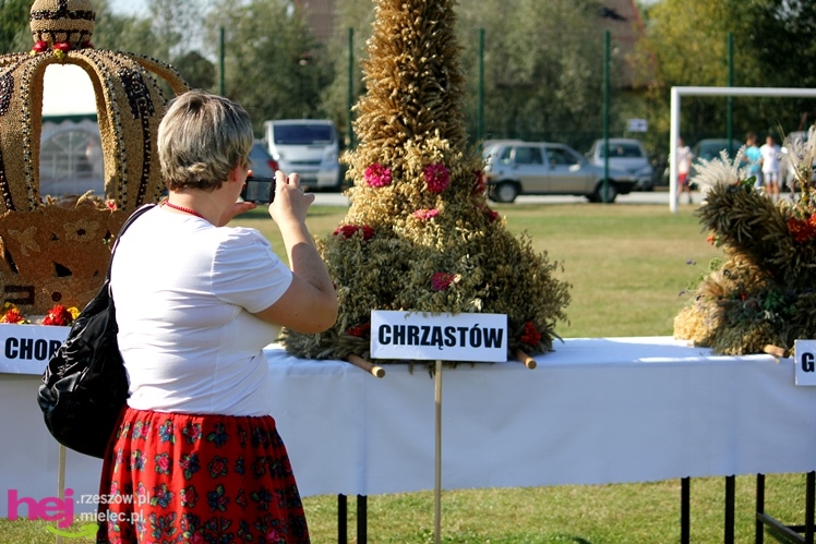 ?Dziękujemy dziś na plony? - dożynki gminy wiejskiej Mielec w Podleszanach