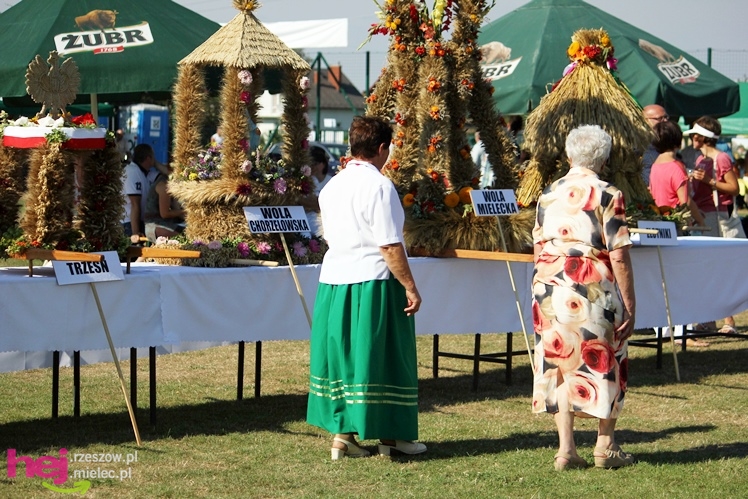 ?Dziękujemy dziś na plony? - dożynki gminy wiejskiej Mielec w Podleszanach