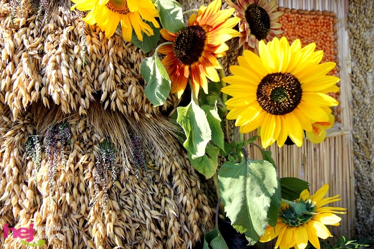 ?Dziękujemy dziś na plony? - dożynki gminy wiejskiej Mielec w Podleszanach