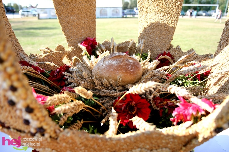 ?Dziękujemy dziś na plony? - dożynki gminy wiejskiej Mielec w Podleszanach