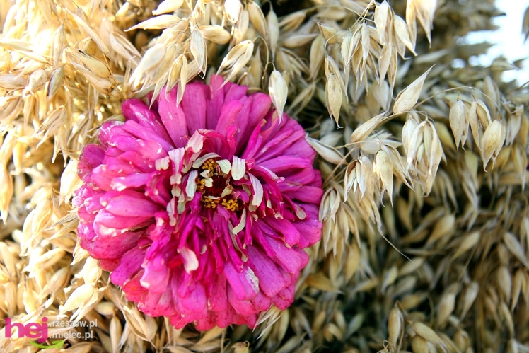 ?Dziękujemy dziś na plony? - dożynki gminy wiejskiej Mielec w Podleszanach