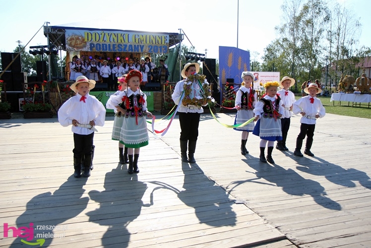 ?Dziękujemy dziś na plony? - dożynki gminy wiejskiej Mielec w Podleszanach