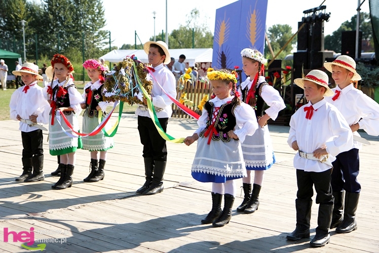 ?Dziękujemy dziś na plony? - dożynki gminy wiejskiej Mielec w Podleszanach