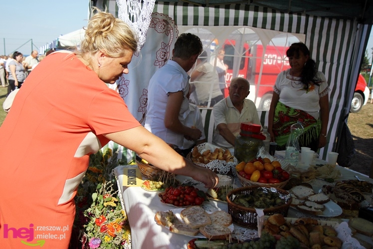 ?Dziękujemy dziś na plony? - dożynki gminy wiejskiej Mielec w Podleszanach