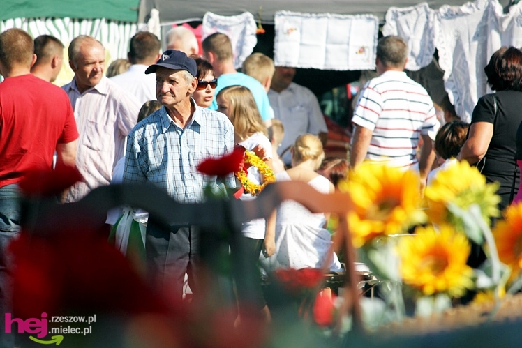?Dziękujemy dziś na plony? - dożynki gminy wiejskiej Mielec w Podleszanach