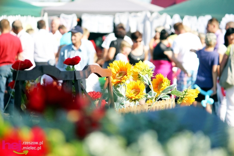 ?Dziękujemy dziś na plony? - dożynki gminy wiejskiej Mielec w Podleszanach