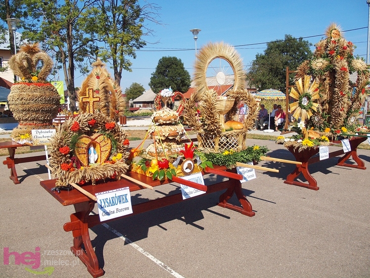 Festiwal ludowy w Czerminie