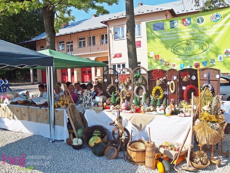 Festiwal ludowy w Czerminie