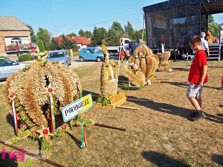 Gminne, rolnicze święto w Dulczy Małej