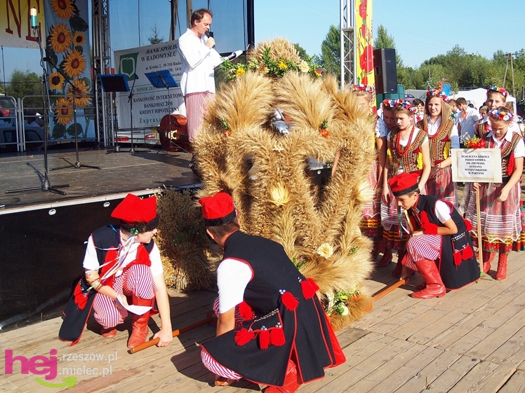 Gminne, rolnicze święto w Dulczy Małej