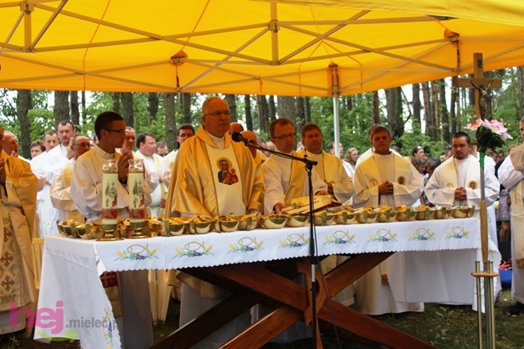 Bliżej niż dalej - za 3 dni pielgrzymi dotrą na Jasną Górę