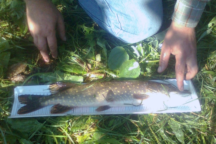 Zawody Wędkarskie o Puchar Prezesa TMZM