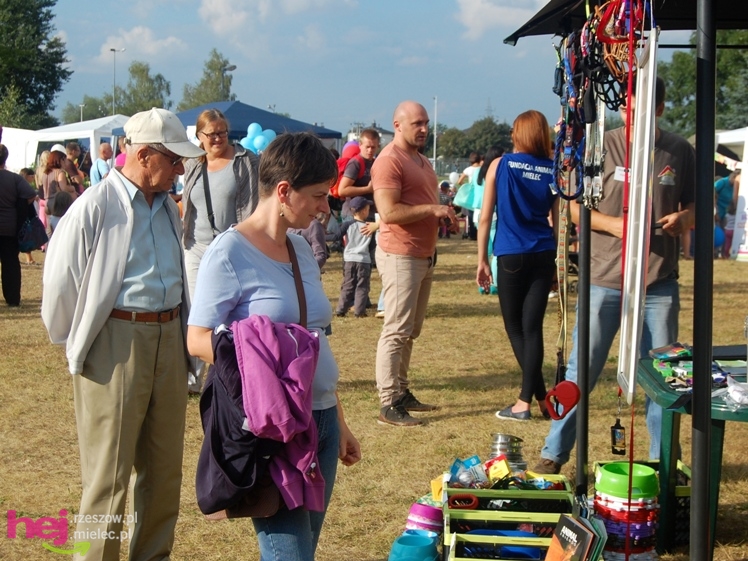 Dni Mielca 2013: sobota: koncerty, stoiska, atrakcje - cz. I