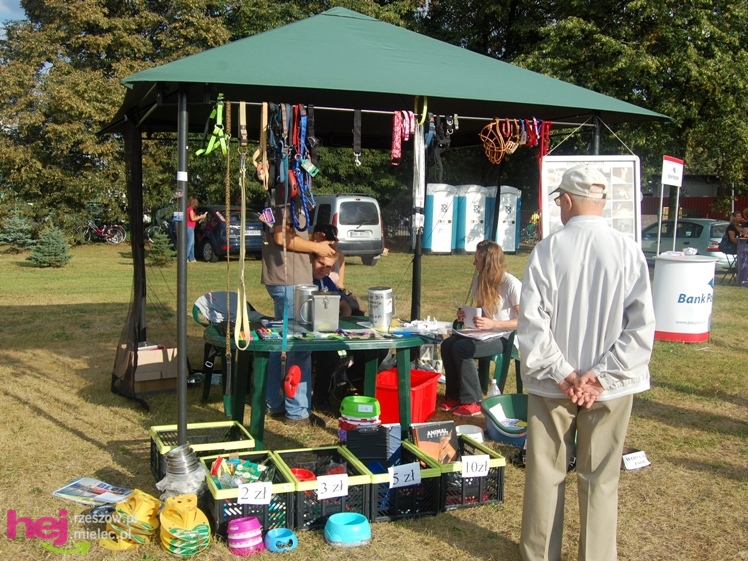 Dni Mielca 2013: sobota: koncerty, stoiska, atrakcje - cz. I