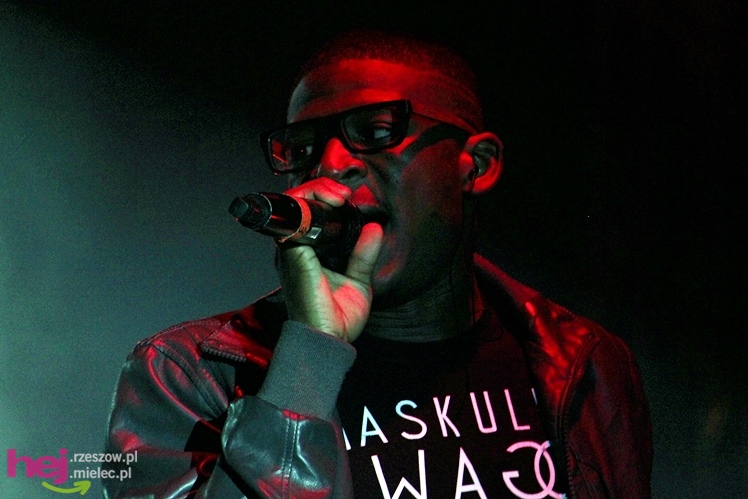 Dni Mielca 2013: sobota: finałowy koncert grupy Afromental - cz. III