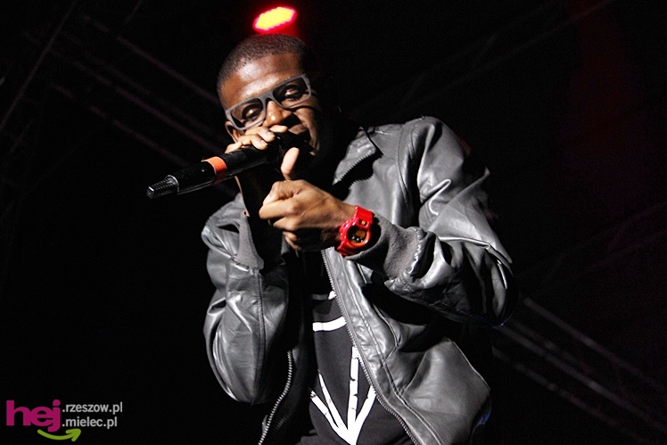 Dni Mielca 2013: sobota: finałowy koncert grupy Afromental - cz. III