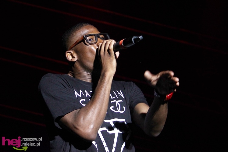 Dni Mielca 2013: sobota: finałowy koncert grupy Afromental - cz. III