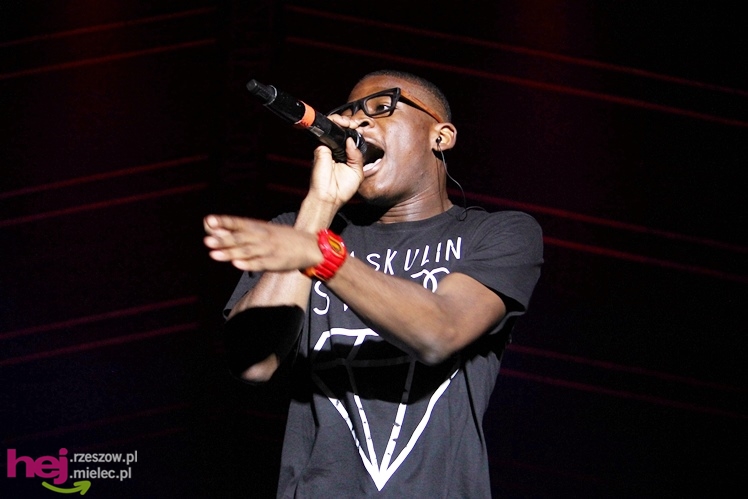 Dni Mielca 2013: sobota: finałowy koncert grupy Afromental - cz. III