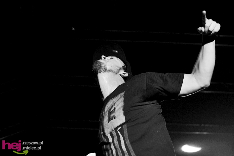 Dni Mielca 2013: sobota: finałowy koncert grupy Afromental - cz. III